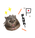ぽんもぐスタンプ（時々、くぅ☆）（個別スタンプ：27）