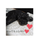 ラッキー・スタンプ 小島家の愛犬（個別スタンプ：3）