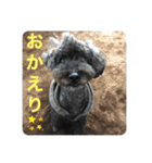 ラッキー・スタンプ 小島家の愛犬（個別スタンプ：4）