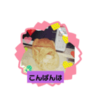 ゆっくりしてるにゃあん（個別スタンプ：3）