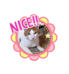 ゆっくりしてるにゃあん（個別スタンプ：5）