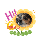 ピノ❤︎チョル（個別スタンプ：1）