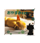 ピノ❤︎チョル（個別スタンプ：2）