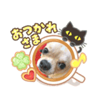 ピノ❤︎チョル（個別スタンプ：3）