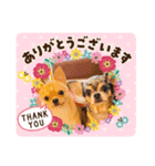 ピノ❤︎チョル（個別スタンプ：4）