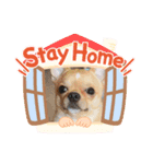 ピノ❤︎チョル（個別スタンプ：8）