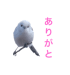 北海道の野鳥スタンプ1 by Flat-out（個別スタンプ：2）