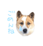 ポッケだよ（個別スタンプ：2）