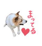ポッケだよ（個別スタンプ：3）
