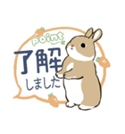 Point挨拶（個別スタンプ：6）