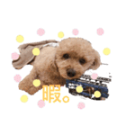 てでぃべあー（個別スタンプ：2）