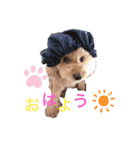 てでぃべあー（個別スタンプ：4）