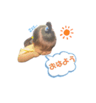 じゅり 1（個別スタンプ：1）
