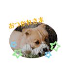 ゆずくっきー（個別スタンプ：8）
