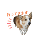 ゆずくっきー（個別スタンプ：12）