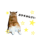 ゆずくっきー（個別スタンプ：16）