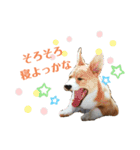 ゆずくっきー（個別スタンプ：18）