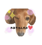 可愛いレアちゃんのスタンプ（個別スタンプ：10）