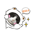 ほっけ様の1日（個別スタンプ：1）
