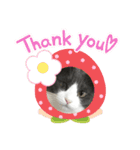 ほっけ様の1日（個別スタンプ：10）