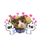ほっけ様の1日（個別スタンプ：14）
