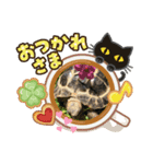リクガメ家族日々楽し（個別スタンプ：3）