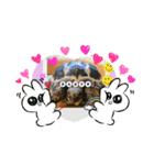 リクガメ家族日々楽し（個別スタンプ：4）