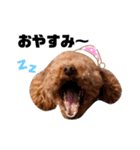 まいにちココア 2（個別スタンプ：2）