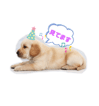 ラブとニエルbyいち（個別スタンプ：1）