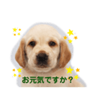 ラブとニエルbyいち（個別スタンプ：8）