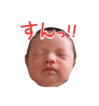 ひより完全版（個別スタンプ：17）