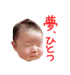ひより完全版（個別スタンプ：25）