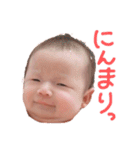 ひより完全版（個別スタンプ：31）