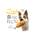 毎日☆レオくん（個別スタンプ：5）