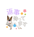 毎日☆レオくん（個別スタンプ：14）