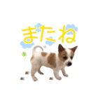 毎日☆レオくん（個別スタンプ：18）