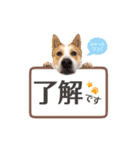 毎日☆レオくん（個別スタンプ：19）