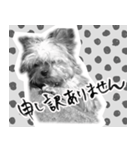 うつぼさんの日常で使えるモノクロスタンプ（個別スタンプ：4）