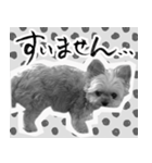 うつぼさんの日常で使えるモノクロスタンプ（個別スタンプ：12）