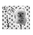 うつぼさんの日常で使えるモノクロスタンプ（個別スタンプ：13）