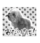 うつぼさんの日常で使えるモノクロスタンプ（個別スタンプ：19）