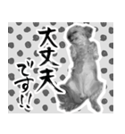 うつぼさんの日常で使えるモノクロスタンプ（個別スタンプ：21）
