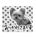 うつぼさんの日常で使えるモノクロスタンプ（個別スタンプ：24）