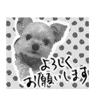 うつぼさんの日常で使えるモノクロスタンプ（個別スタンプ：27）