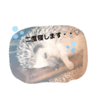絹子さん♡（個別スタンプ：3）