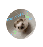 絹子さん♡（個別スタンプ：4）