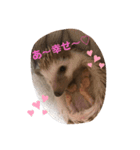 絹子さん♡（個別スタンプ：5）