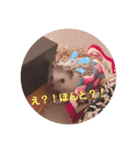 絹子さん♡（個別スタンプ：6）