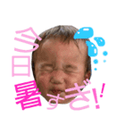 我が家の4匹ちゃん達♥part2（個別スタンプ：8）