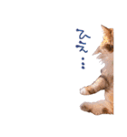 弊猫（個別スタンプ：15）